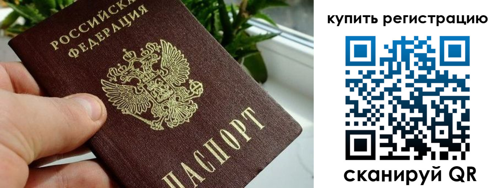 прописка гарантия в Миллерово